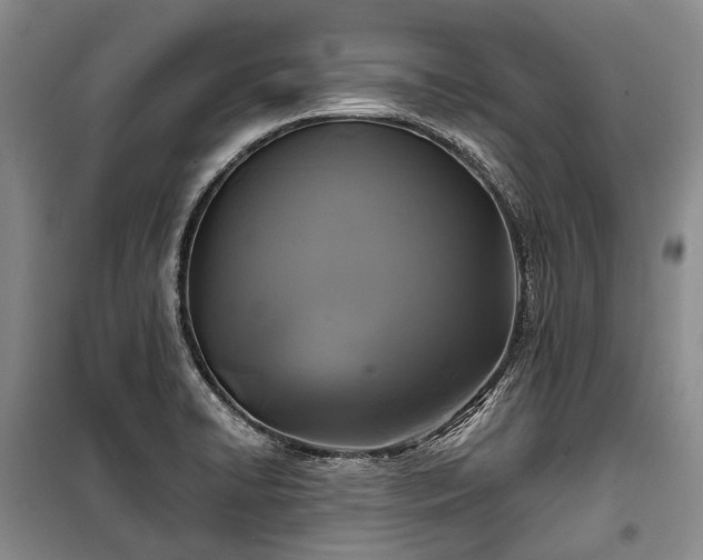 X0000100371422200806131027