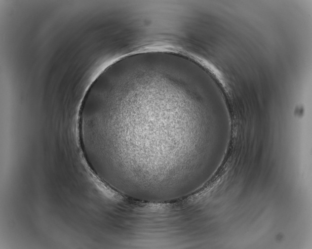 X0000100371423200806131027