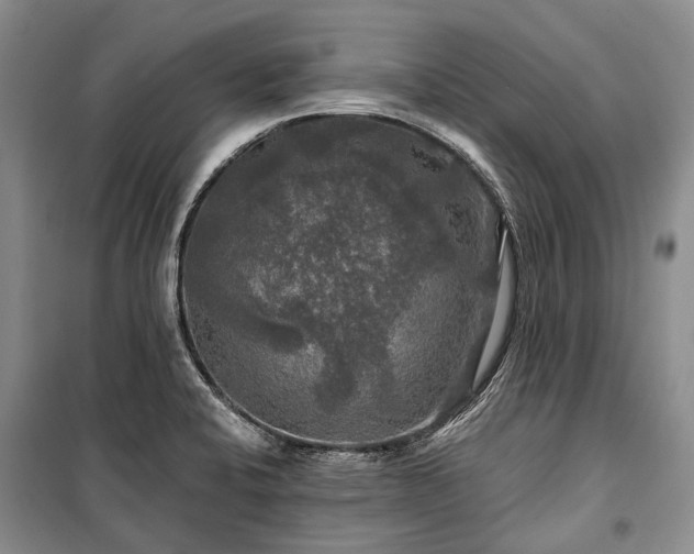 X0000100371424200806131027