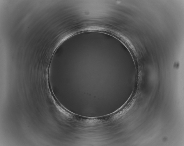 X0000100371425200806131027