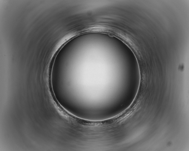 X0000100371426200806131027