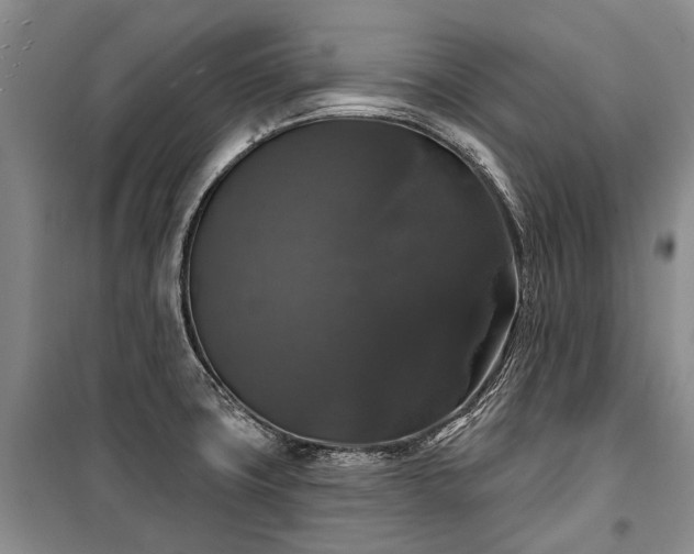 X0000100371427200806131027