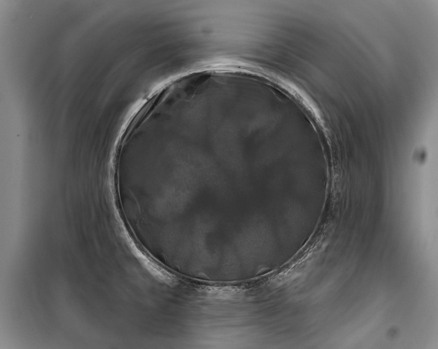 X0000100371429200806131027