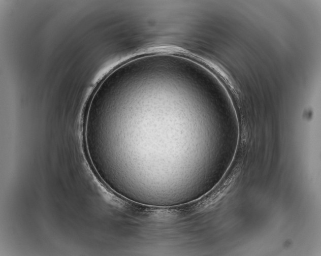 X0000100371430200806131027