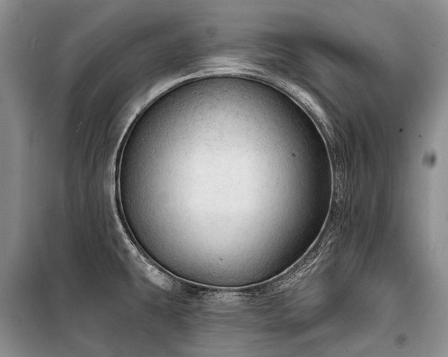 X0000100371431200806131027