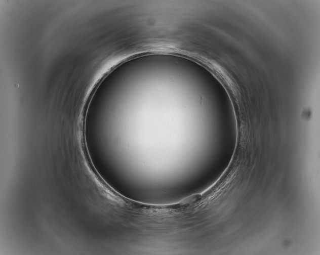 X0000100371432200806131027