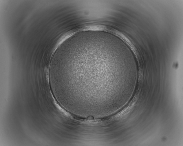 X0000100371433200806131027