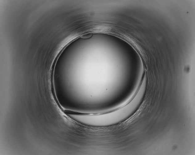 X0000100371434200806131027