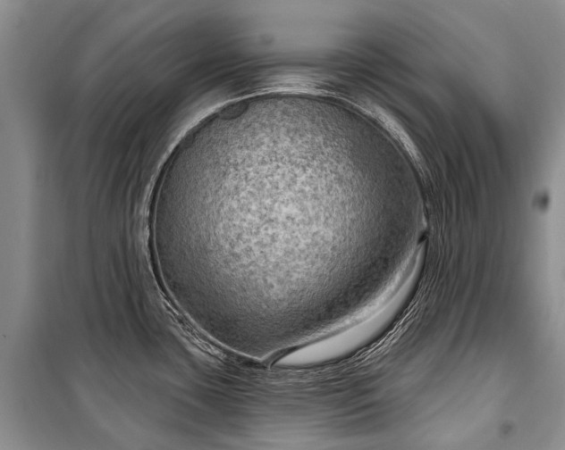 X0000100371435200806131027