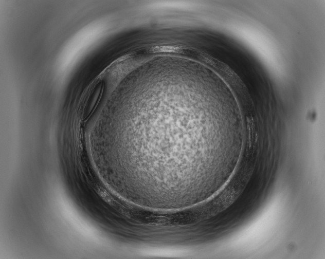 X0000100371438200806131027