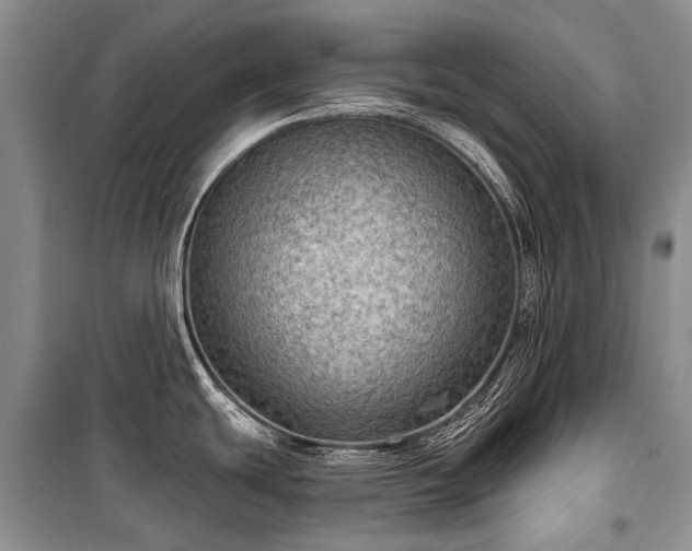 X0000100371439200806131027