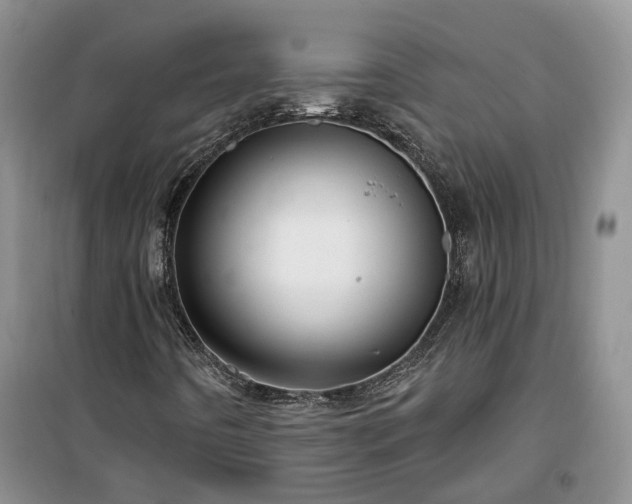 X0000100371442200806131026