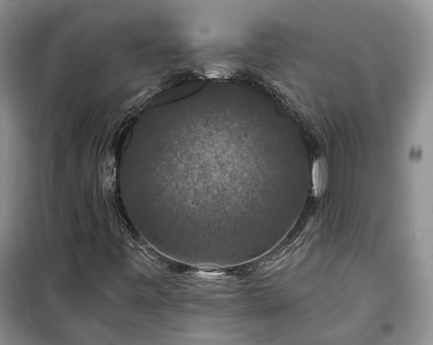 X0000100371443200806131026