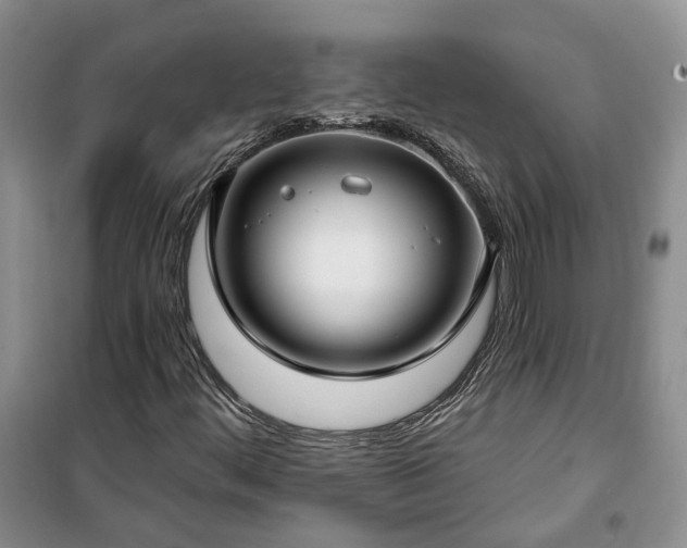 X0000100371444200806131026