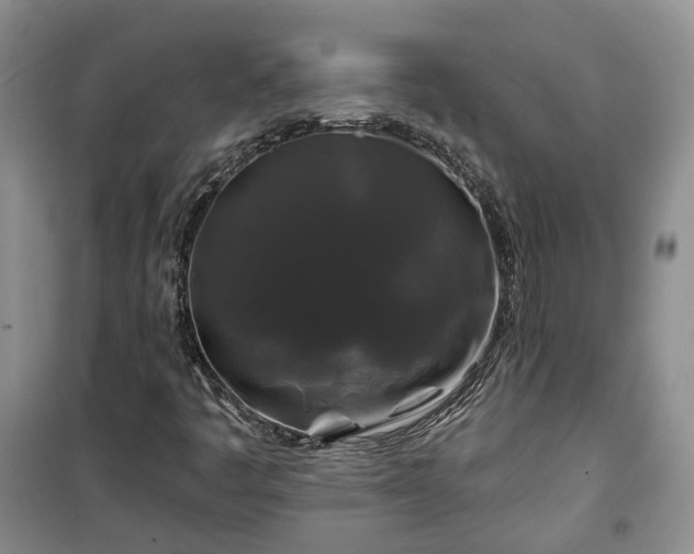 X0000100371445200806131026