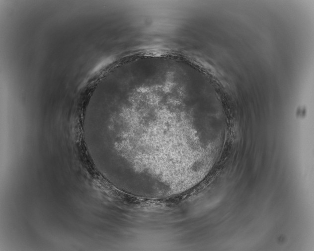 X0000100371446200806131026