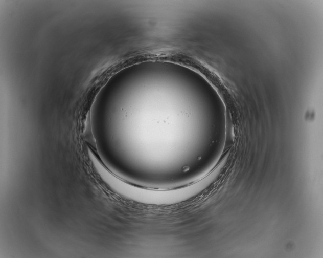 X0000100371447200806131026