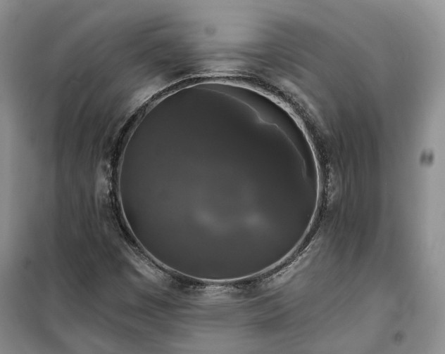 X0000100371449200806131026