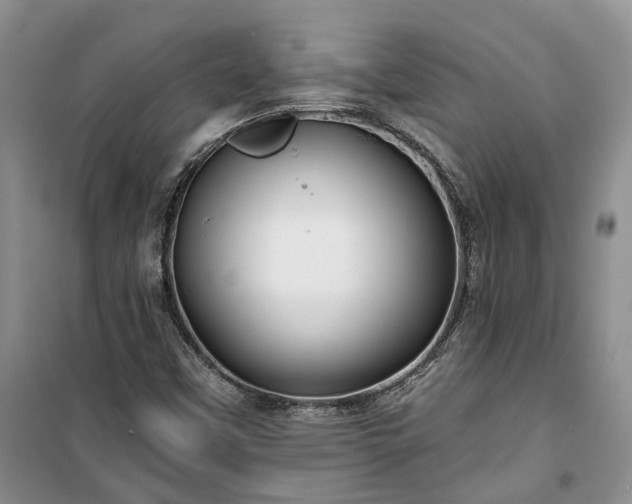 X0000100371451200806131026