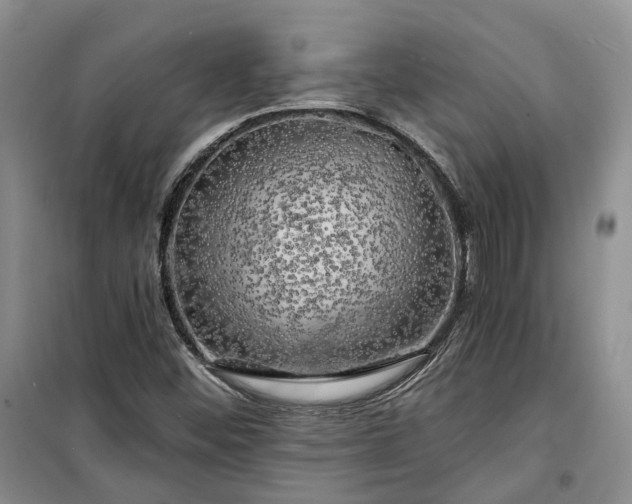 X0000100371452200806131026