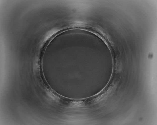 X0000100371453200806131026