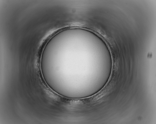 X0000100371454200806131026