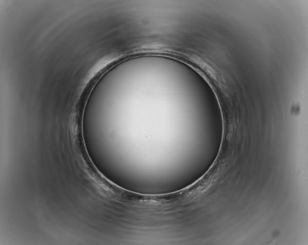 X0000100371458200806131026