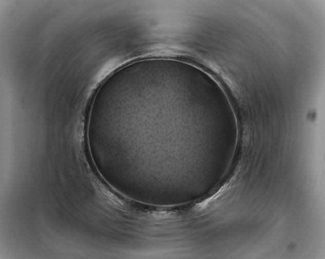 X0000100371459200806131026