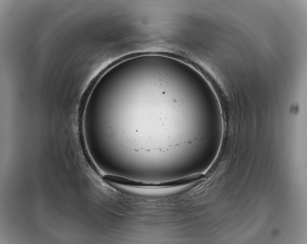 X0000100371460200806131026