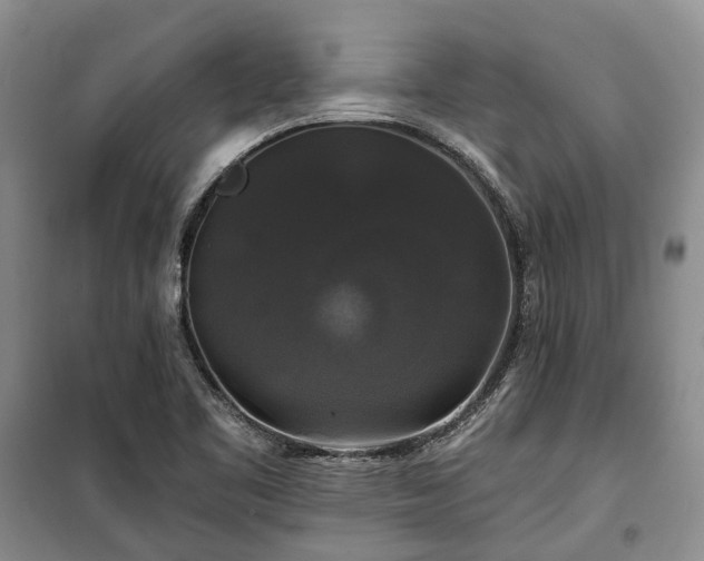 X0000100371461200806131026