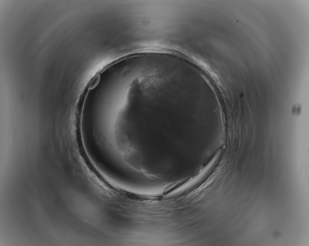 X0000100371463200806131026