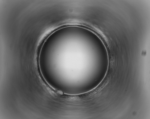 X0000100371464200806131026