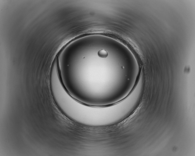 X0000100371465200806131026