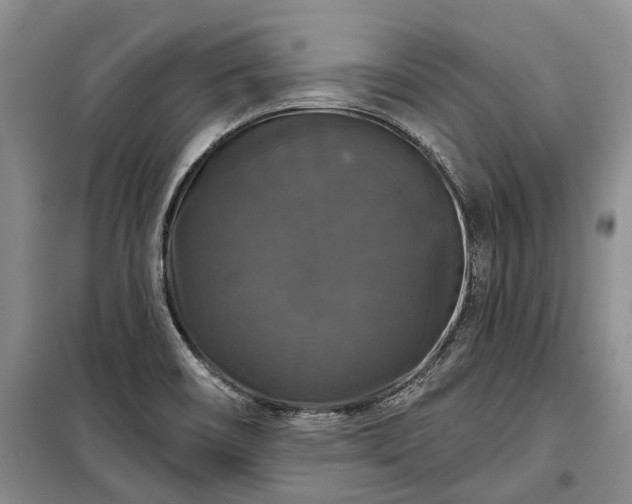 X0000100371466200806131026