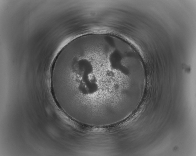 X0000100371467200806131026