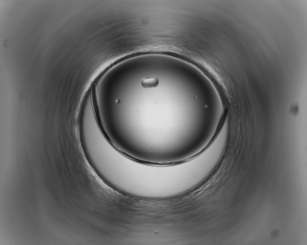 X0000100371468200806131026