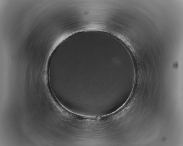 X0000100371469200806131026