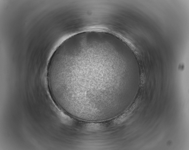 X0000100371470200806131026