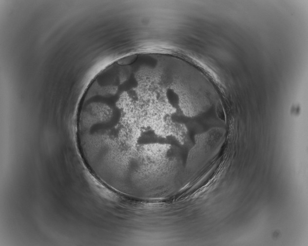 X0000100371471200806131026