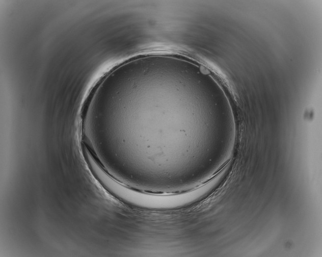 X0000100371472200806131026