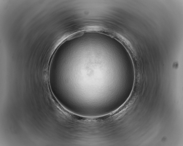 X0000100371473200806131026