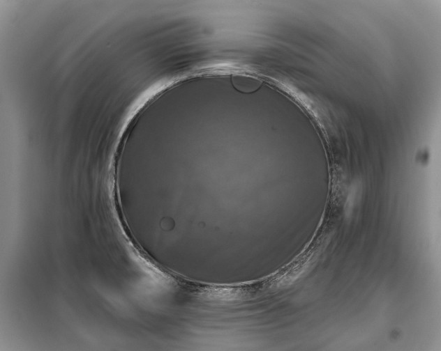 X0000100371474200806131026