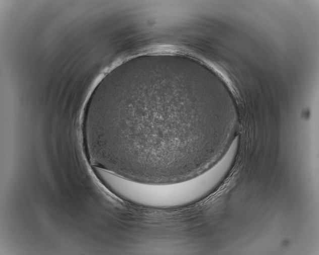 X0000100371475200806131026