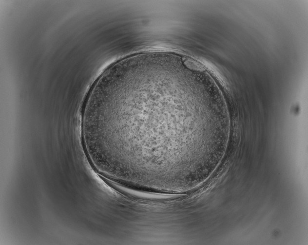 X0000100371476200806131026