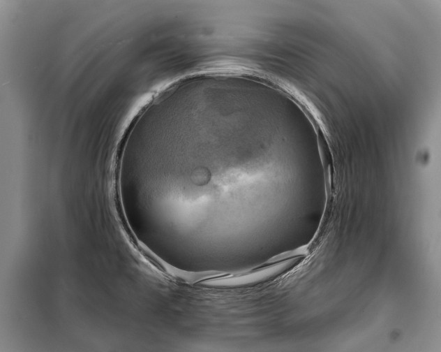 X0000100371477200806131026