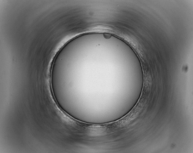 X0000100371478200806131026