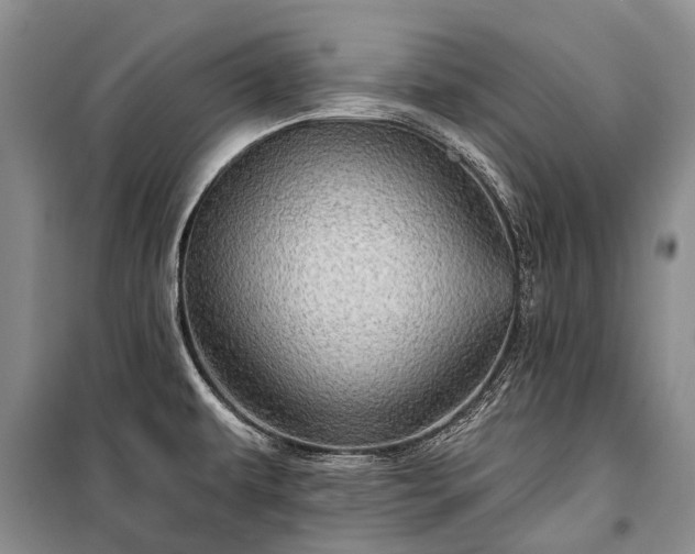 X0000100371479200806131026