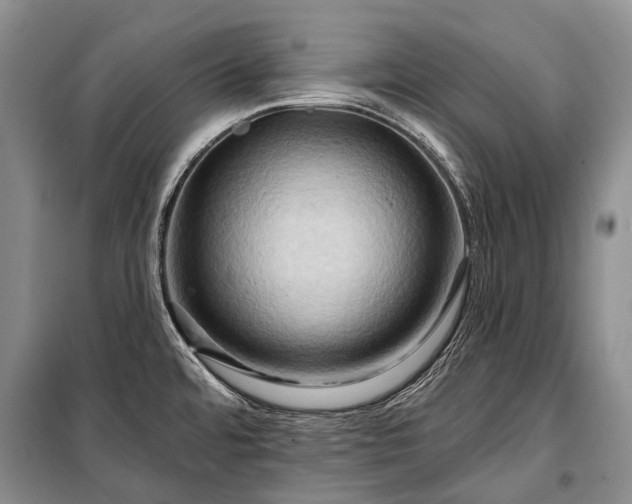 X0000100371480200806131026