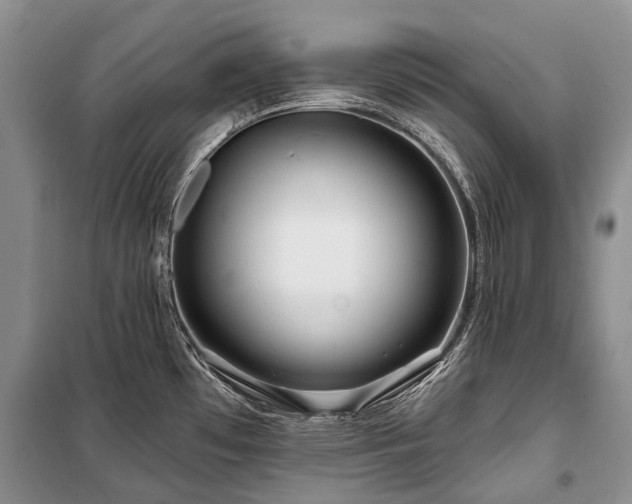 X0000100371481200806131026