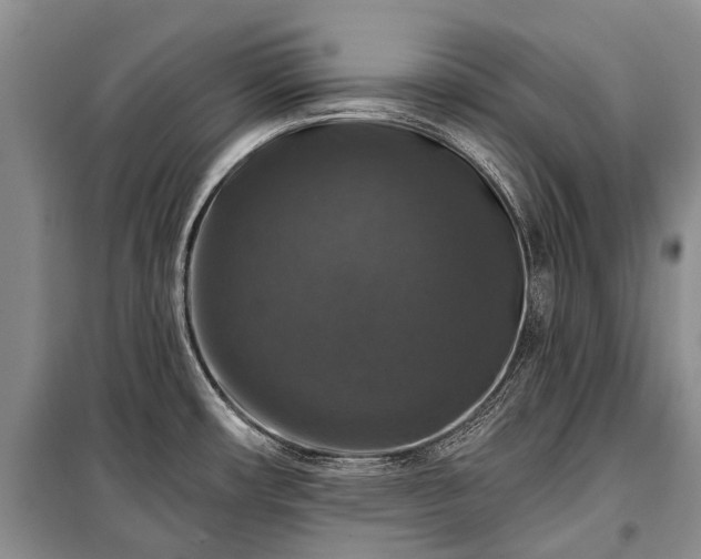 X0000100371482200806131026